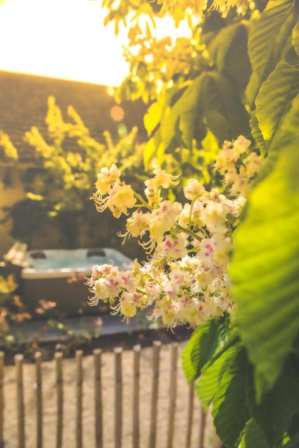 Thénioux Le Petit Nancay B&B 외부 사진