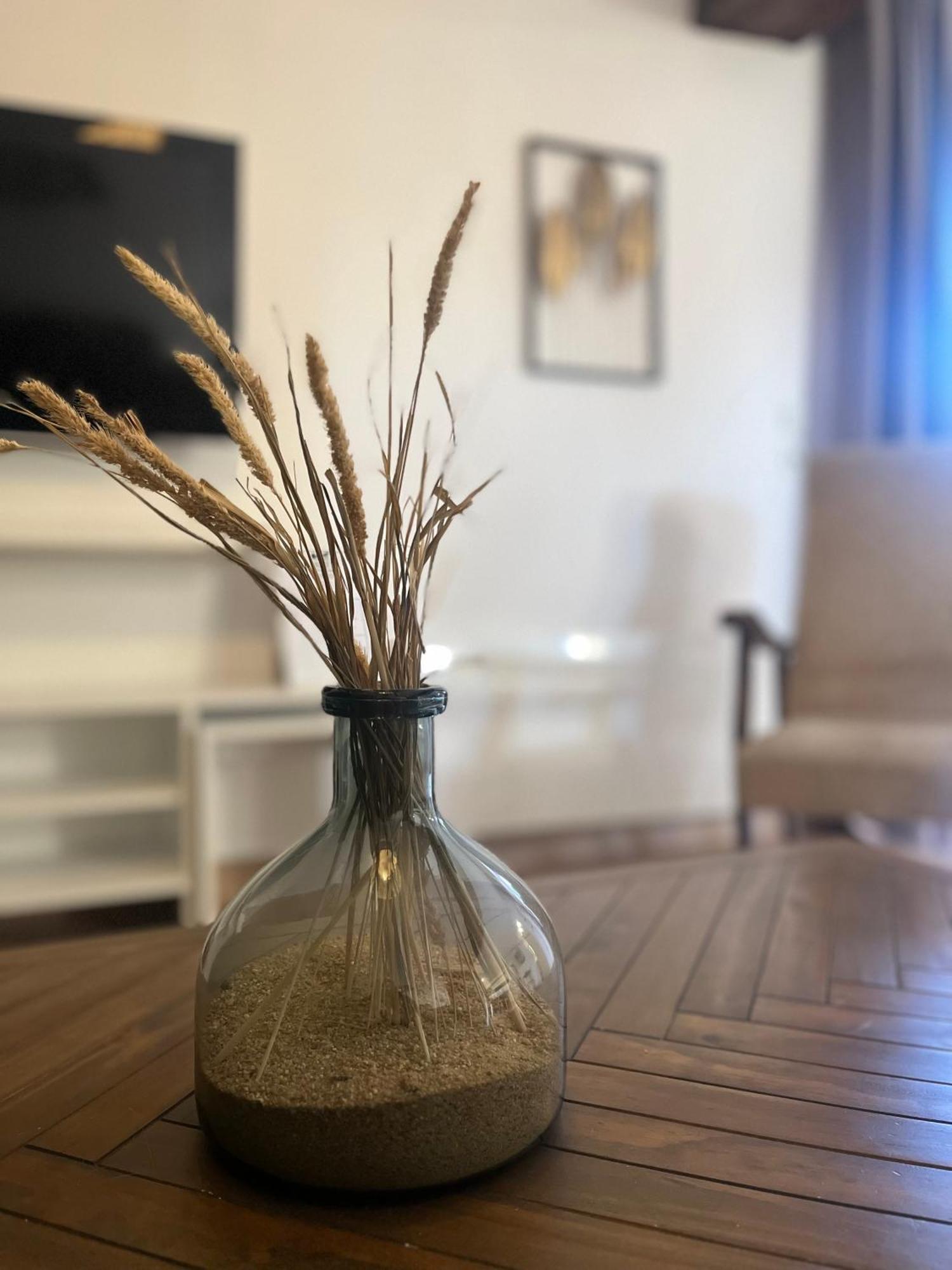 Thénioux Le Petit Nancay B&B 외부 사진